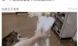 网红吃瓜林清平,揭秘娱乐圈幕后真相